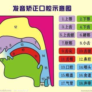 河南普通話考試報(bào)名網(wǎng):普通話水平測(cè)試復(fù)習(xí)重點(diǎn)(二),實(shí)用技巧
