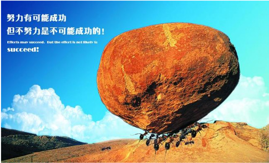 第三選擇和確定評價的項目與指標(biāo)